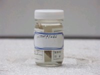 藏品(稻氏天竺鯛)的圖片